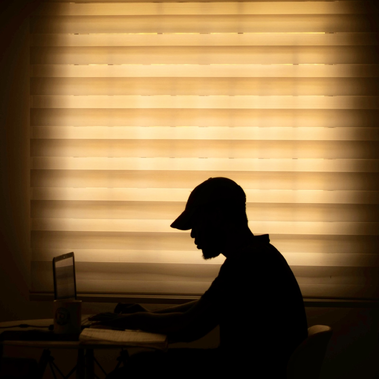 Actually, people love to work hard - Anil Dash