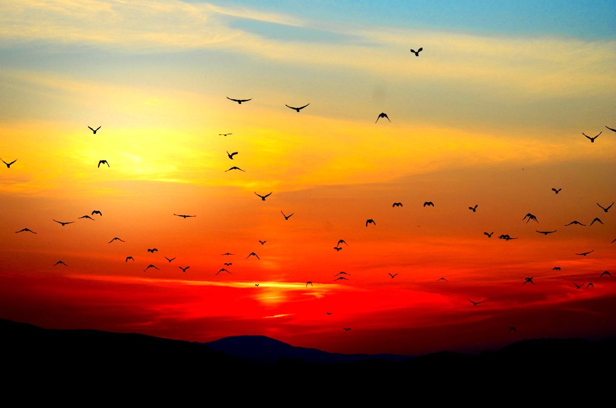 A Codeless Ecosystem, or hacking beyond vibe coding - Anil Dash